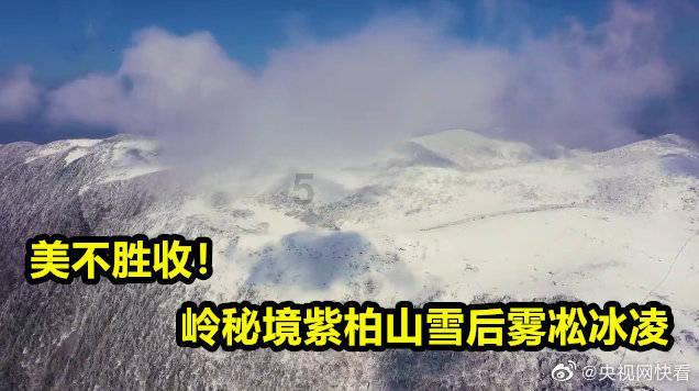 京晋赛前:三将复出,小曾合练;亚当斯缺席,彦西特训,张宁呼吁