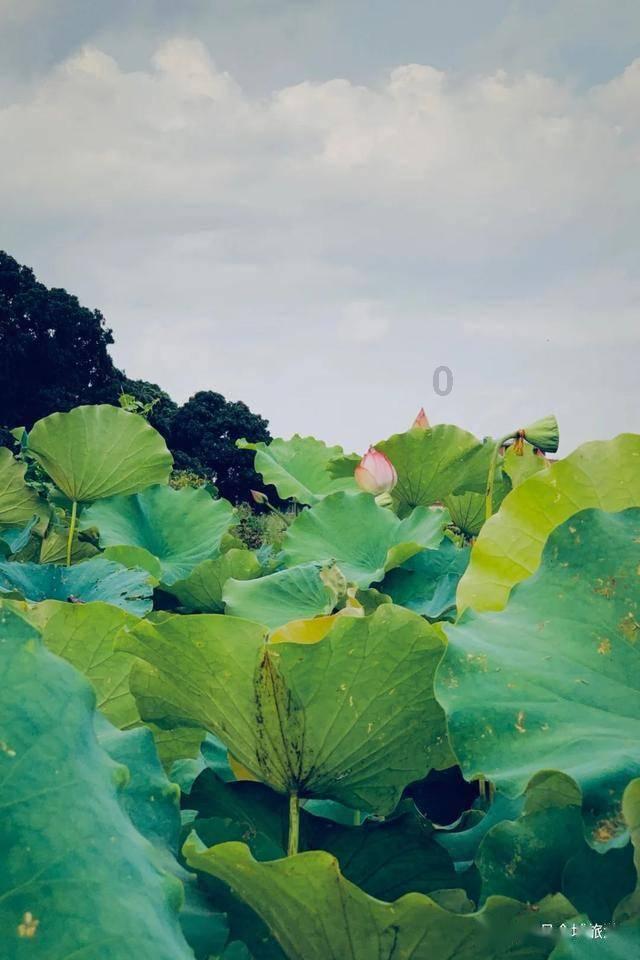 武林立志传
