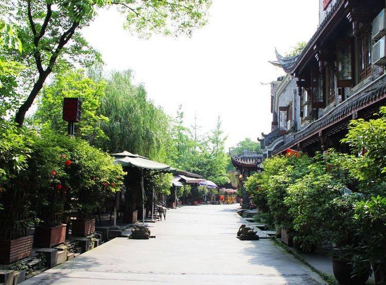 小小的身体，大大的能量：从几乎瘫痪到能做飞人俯卧撑